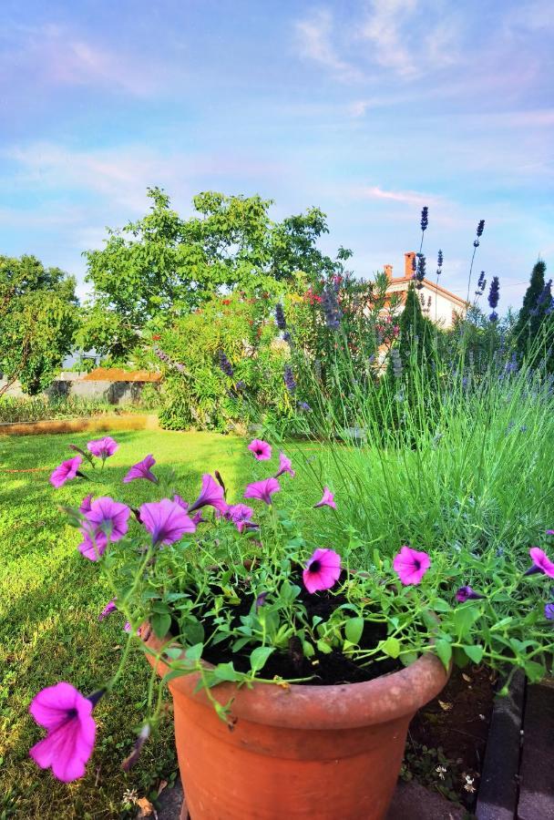 Guesthouse Olei Malinska Exteriér fotografie